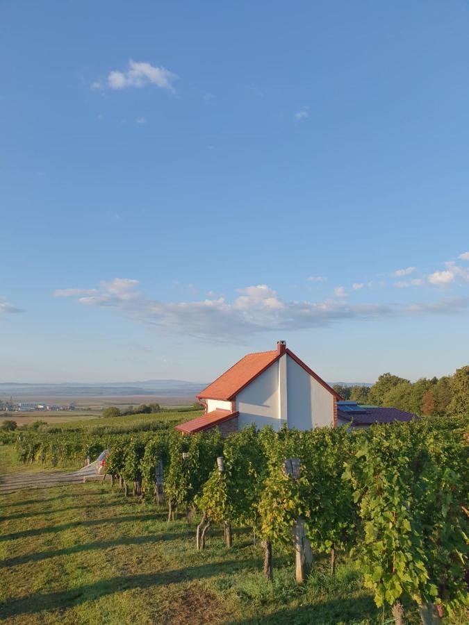 Villa Kuca Za Odmor Baron Kutjevo Exterior foto